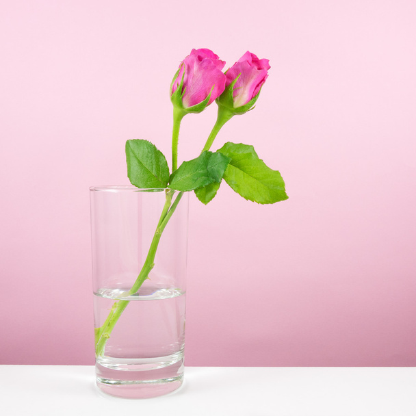 A gyönyörű rózsák virág pohár vízzel - Fotó, kép