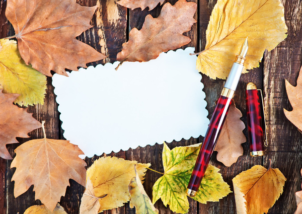 autumn leaves  and blank tag - Φωτογραφία, εικόνα