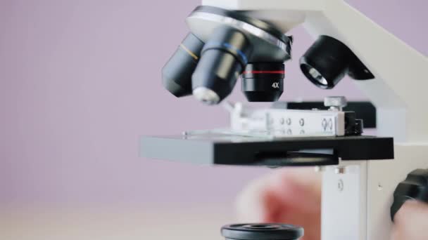 Focus adjustment of the microscope - Filmmaterial, Video