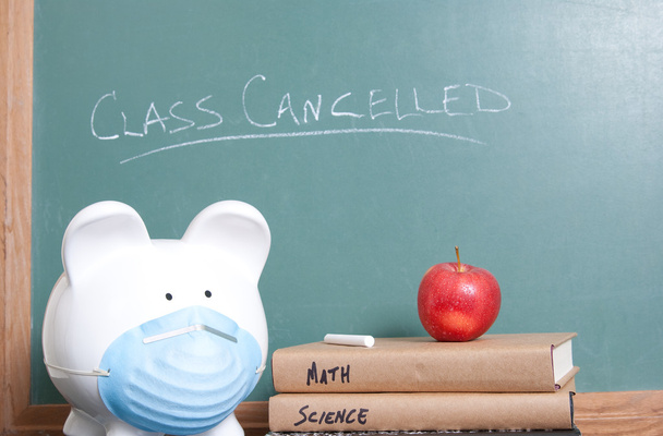 Class cancelled for swine flu - Foto, immagini