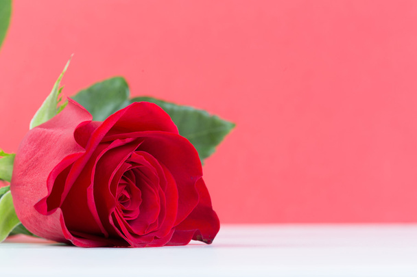 Natural red roses - Φωτογραφία, εικόνα