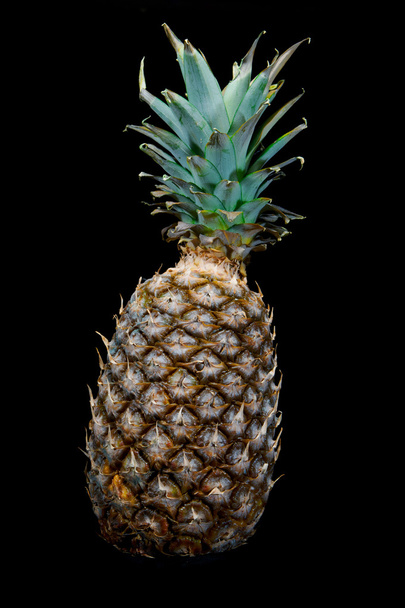 Pineapple isolated - Fotó, kép