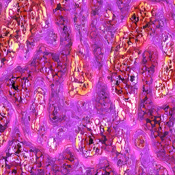 Ilustración de células madre embrionarias
 - Foto, imagen
