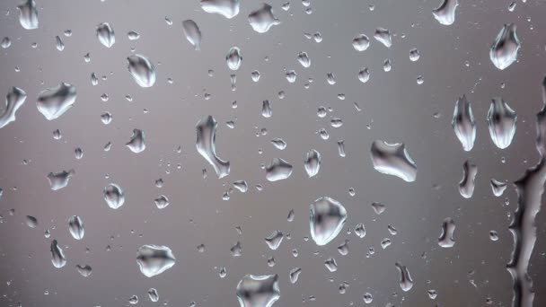 Krople deszczu spływały szybę - Materiał filmowy, wideo