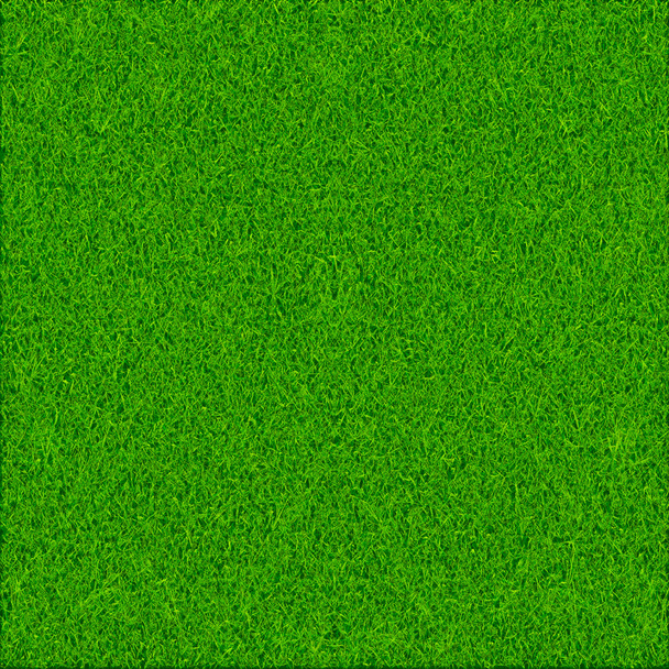 緑の草の質感の背景 - ベクター画像