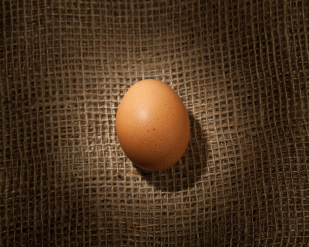Chicken egg - Fotoğraf, Görsel