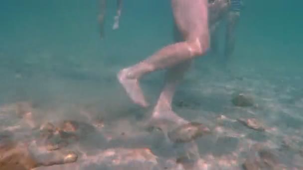 podmořské plavci v 4k - Záběry, video