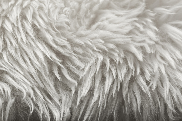 weißes Fell Textur Hintergrund - Foto, Bild