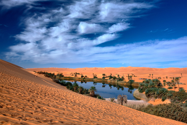 Oasi pustyni - Zdjęcie, obraz