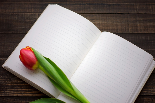 Tulip and open blank notebook - Foto, Imagen