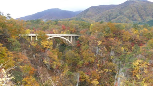 Kołatki Gorge Autumn listowie w jesieni, Japonia - Materiał filmowy, wideo