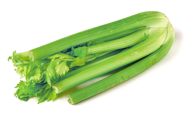 Čerstvě zelený celer izolované na bílém pozadí - Fotografie, Obrázek