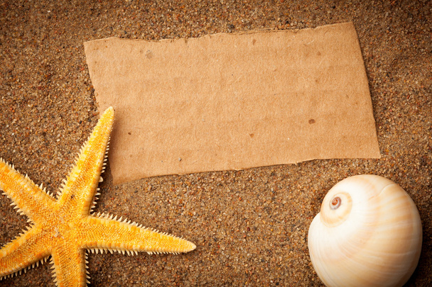 Beach background with cardboard, sea star and shell - 写真・画像