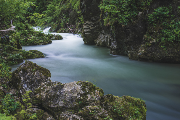 Река течет в лесу, длительное воздействие
 - Фото, изображение