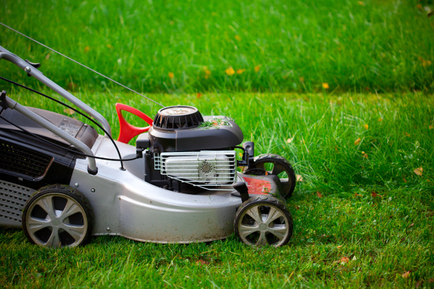 Lawn mower closeup - Photo, Image