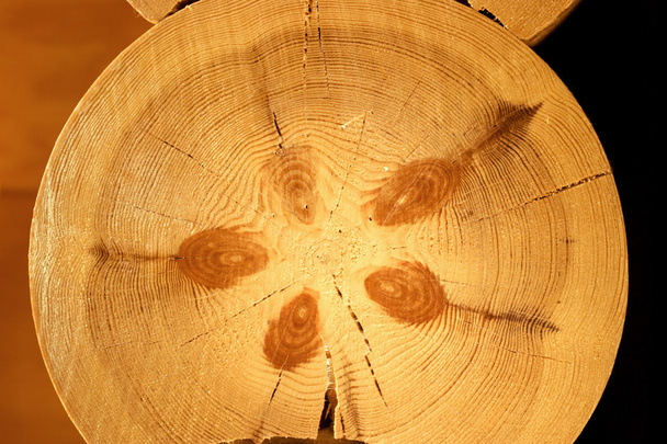 puinen log rakenne lähikuva
 - Valokuva, kuva