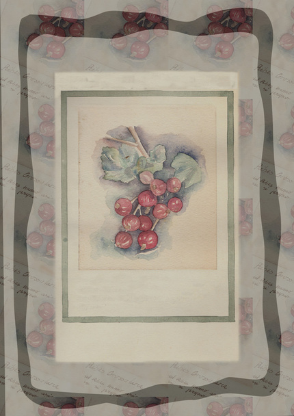 Hand drawn watercolor painting decorative -Ribes Grossularia - Photo, Image