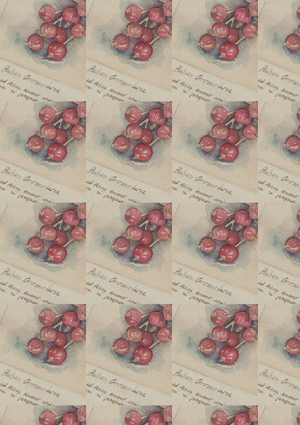 Розпис акварельними фарбами декоративні-Рімб Гросульарія - Фото, зображення
