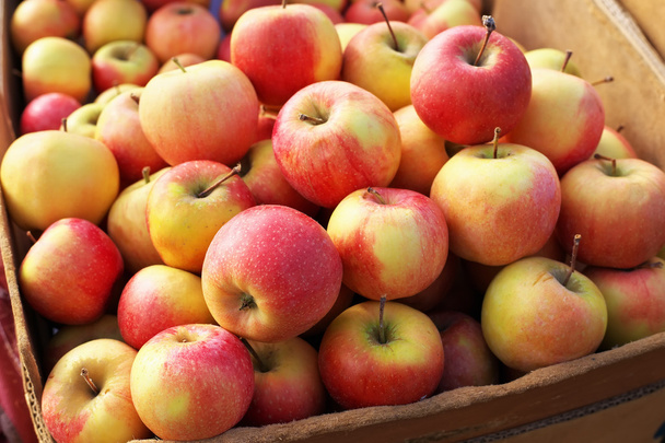 Вкусные красочные сладко-кислые яблоки в коробке на рынке
 - Фото, изображение