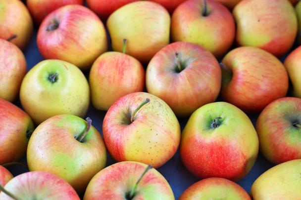 Tausta tuoreita herkullisia värikkäitä omenoita
 - Valokuva, kuva