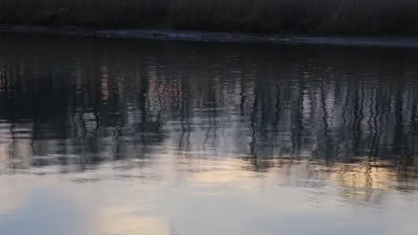 Suon alue pranburin auringonlaskun aikaan ennen yöaikaa, Wetland of
 - Materiaali, video