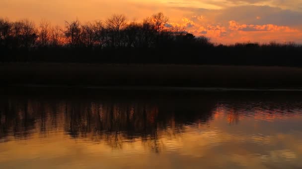 プランブリ夕暮れ夜までは、湿地のカオ サム ロイ ヨー国立公園の湿地, - 映像、動画