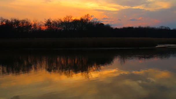 プランブリ夕暮れ夜までは、湿地のカオ サム ロイ ヨー国立公園の湿地, - 映像、動画