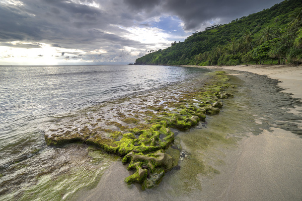 Пляж с мхом
 - Фото, изображение