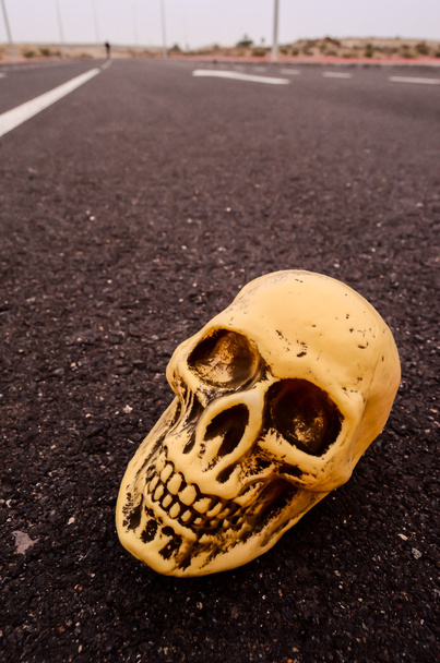 Pääkallo asfalttitiellä - Valokuva, kuva
