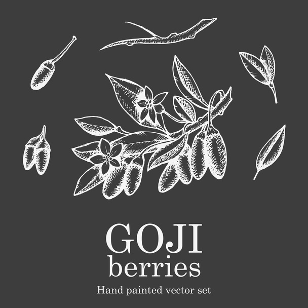 Goji berry superfood set. Health nutrient food vector hand drawing illustration on chalkboard - Вектор,изображение