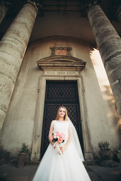 Gorgeous romantic gentle stylish beautiful caucasian bride on the background ancient baroque castle - Foto, afbeelding