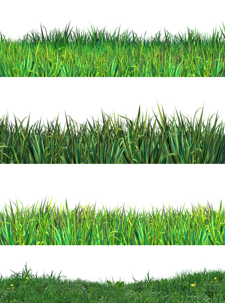 Green grass set. Realistic Digital illustration. Green grass stripes on white background. - Foto, afbeelding