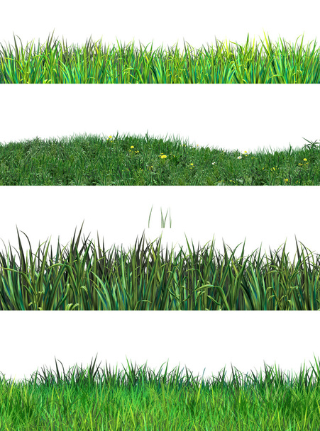 Green grass set. Realistic Digital illustration. Green grass stripes on white background. - Zdjęcie, obraz