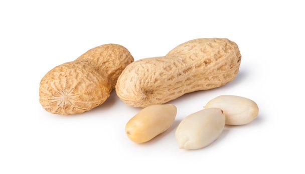 cacahuètes isolées sur fond blanc - Photo, image