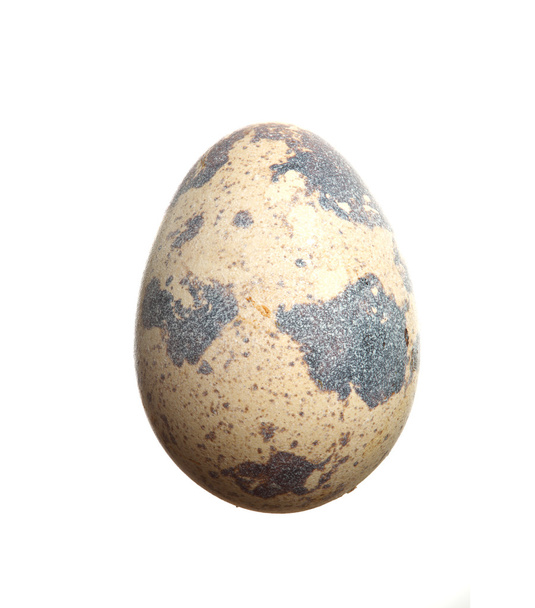перепелиное яйцо
 - Фото, изображение
