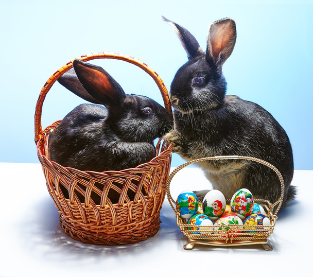 Pasen konijnen in de buurt van de mand met eieren - Foto, afbeelding