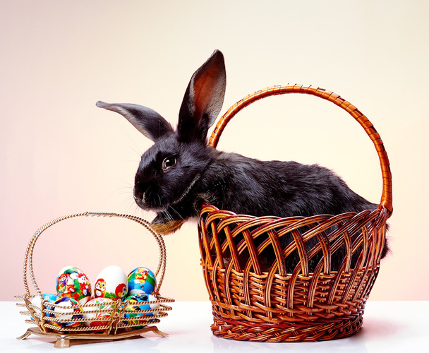 Rabbit is peeking out of the basket on Easter eggs - Фото, изображение