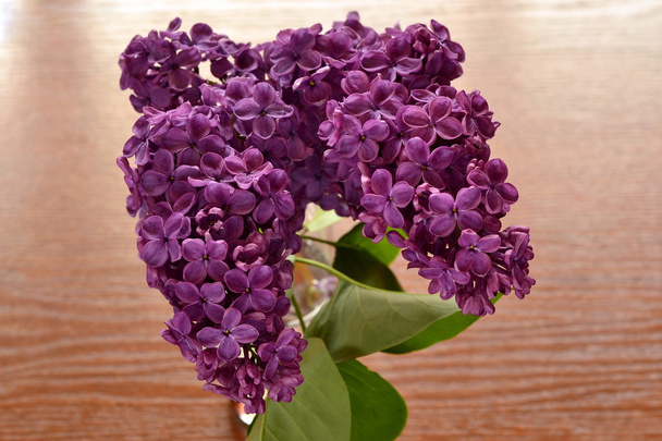 Purple lilacs on a wooden background - Photo, Image
