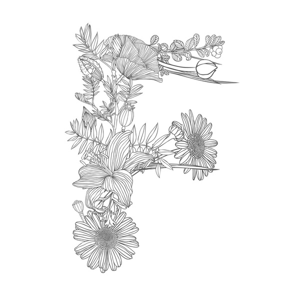 Linear black on white Floral alphabet.  Letter F - Vector, Image