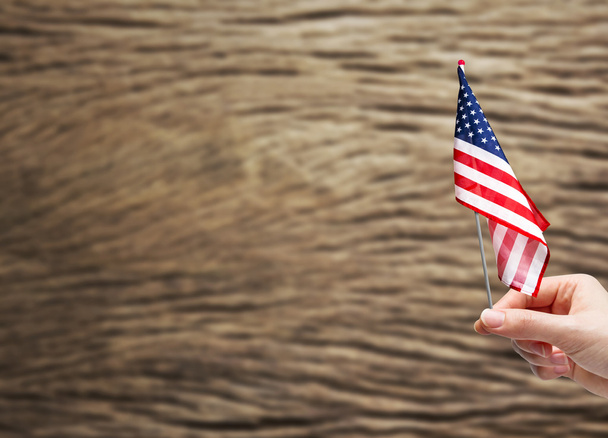 Mão segurando bandeira EUA
 - Foto, Imagem