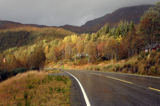 Norwegian road - Foto, Bild