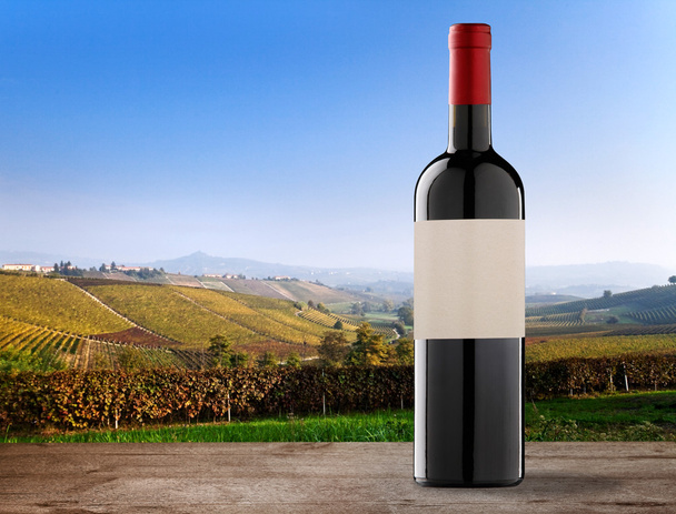 Wine bottle on vineyards - Photo, Image