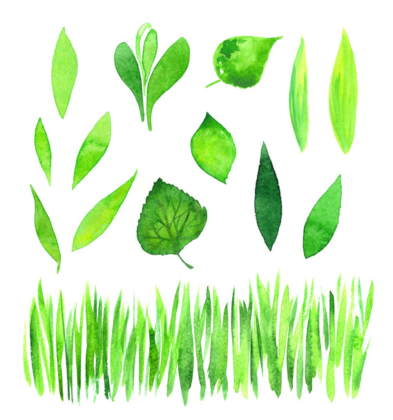 Set of green watercolor leaves - 写真・画像