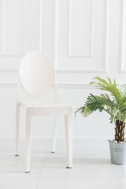Puste krzesło z wazonie roślin - Zdjęcie, obraz