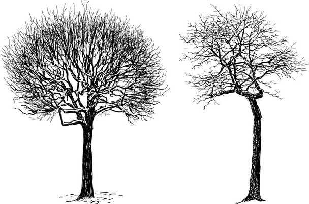 Silhuetas de árvores
 - Vetor, Imagem