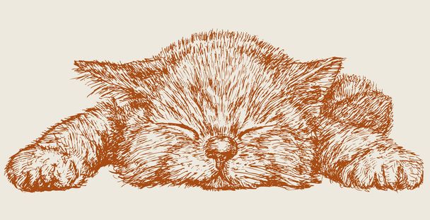 Piccolo gatto scivola
 - Vettoriali, immagini
