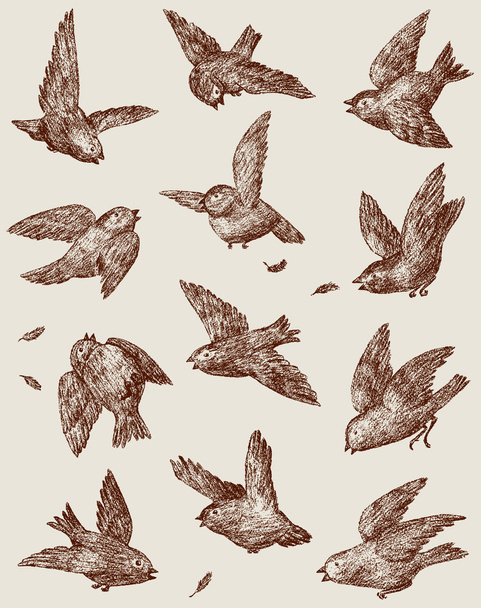 hejno vrabců - Vektor, obrázek