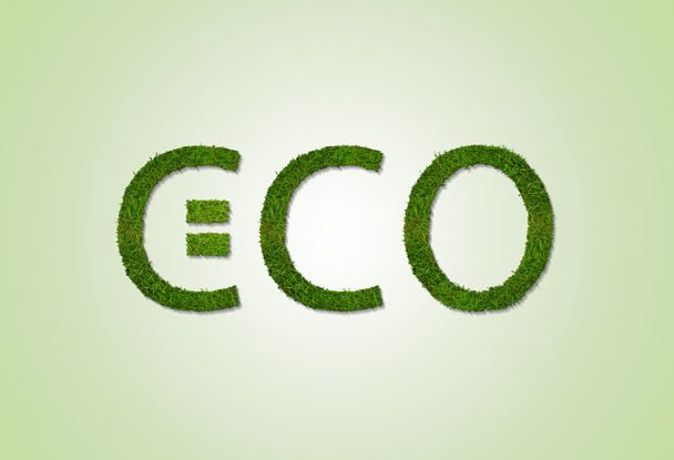 Eco smile sign - Photo, Image