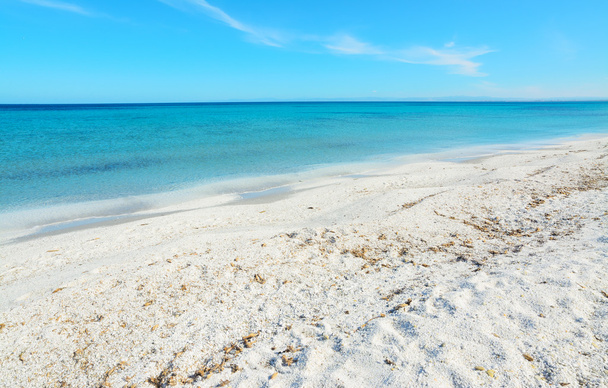 белый камешек и синее море
 - Фото, изображение