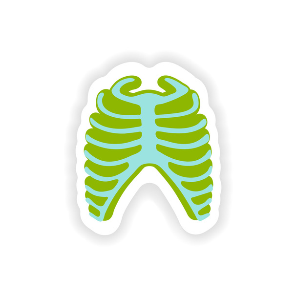 paper sticker on white background bone ribs - Vector, Image